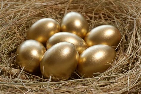 36219 Golden Eggs Stock Photos Free And Royalty Free Stock Photos From