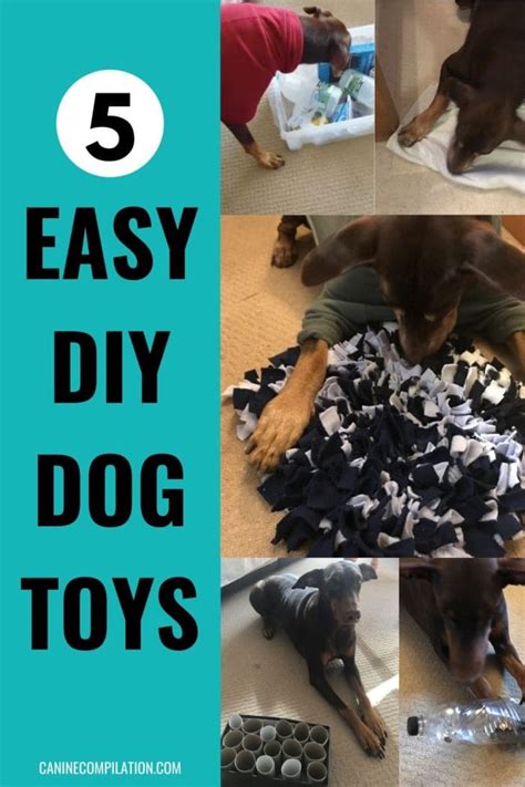 5 Easy Diy Dog Toys To Make From Rubbish Canine Compilation