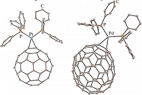 Molecular Structures Of The Fullerene C60 Complex With Download