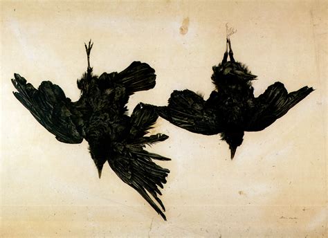 The Art Of Crows And Ravens 10 Paintings You Must See