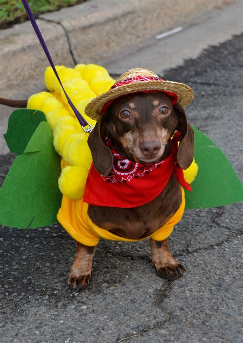 Races Discounts Selling | brunofuga.adv.br