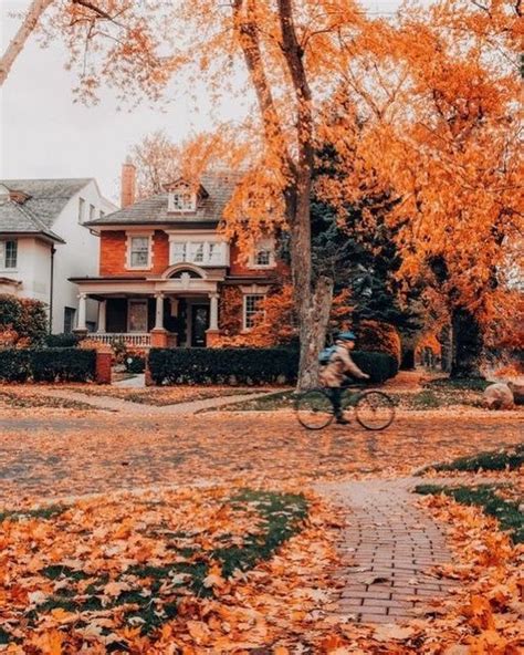 Autumn Magic Autumn Cozy Autumn Feeling England Aesthetic October