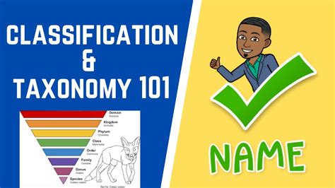Classification And Taxonomy 101 Youtube