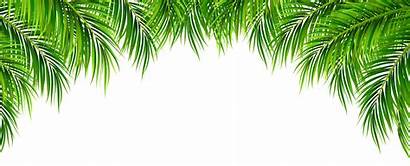 Palm Leaves Clip Leaf Border Transparent Clipart
