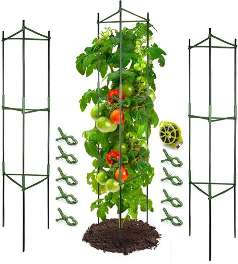 The Best Tomato Cages Of 2022