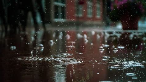 Capturing The Beauty Of Raindrops Tips For Stunning Photography