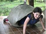 Galapagos Travel With Kids Images