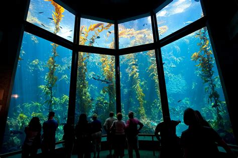 Top 10 Things To Do In Monterey