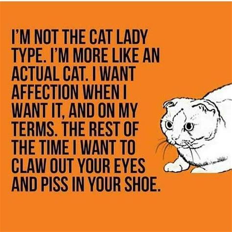 Crazy Cat Lady Funny Lol Omg Cat Lady Humor Cat Quotes Funny