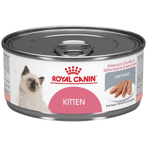 Royal Canin Lata Kitten Gato — Woow Guau