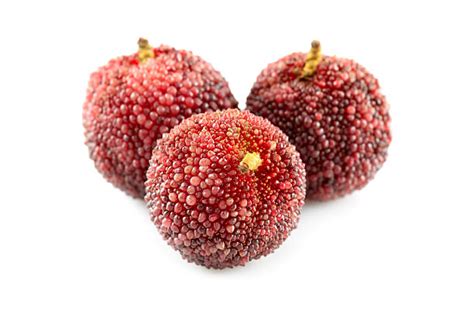 Waxberry Stock Photos Pictures And Royalty Free Images Istock