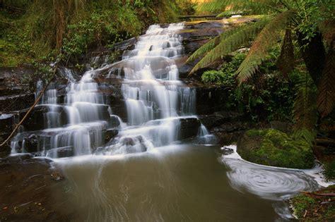 Waterfalls Australia Parks Great Otway Nature Wallpapers Hd