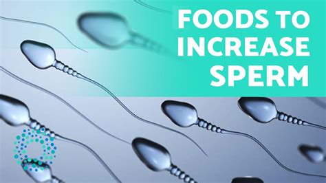 6 Foods To Increase Your Sperm Count🔫 How To Increase Sperm Count Youtube