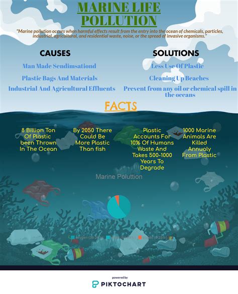 Marine Pollution Infograph