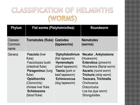 Solution Helminthic Parasites Pdf For Identification And Counting Of