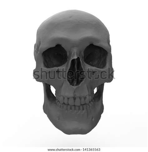 Head Human Skull Realistic Stock Illustration 141365563 Shutterstock