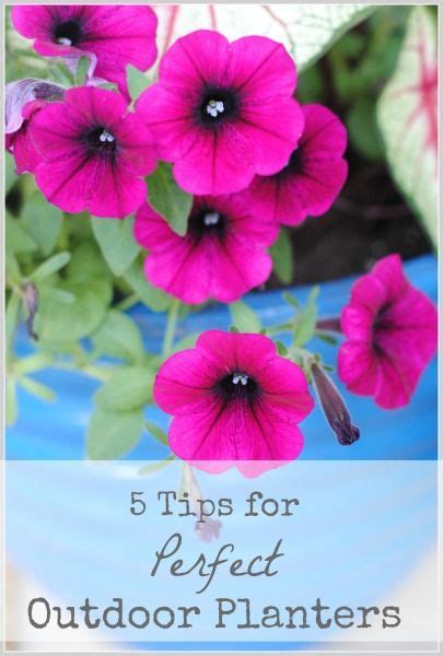 5 Tips For Perfect Planters Love The Tips On How To Save Money On
