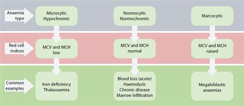 Microcytic Anemia Chart