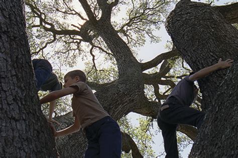 The Tree Of Life Terrence Malick Brad Pitt Sean Penn