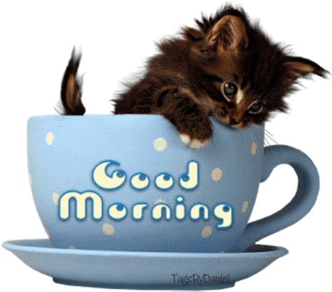 Good Morning Coffee Kitty Good Morning Good Morning Greeting Good