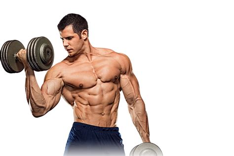 Muscle Png Transparent Images Png All