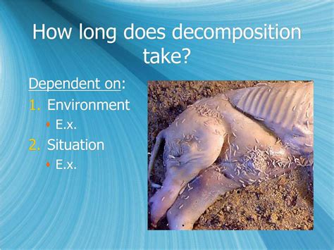 Ppt Body Tissues And Decomposition Powerpoint Presentation Free