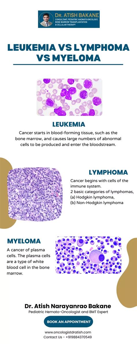Ppt Leukemia Vs Lymphoma Vs Myeloma Powerpoint Presentation Free