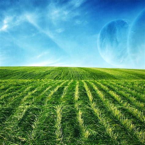 Green Fields Ipad Wallpapers Free Download