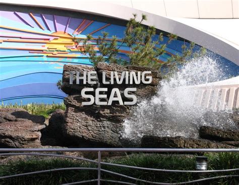 35 To Epcot 35 Day 17 The Living Seas The Seas With Nemo And