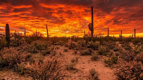 Desert Full Hd Wallpaper And Background X Id Arizona Sunset Arizona