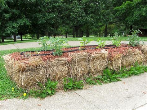 How To Build A Straw Bale Garden In 7 Steps Complete Instructions
