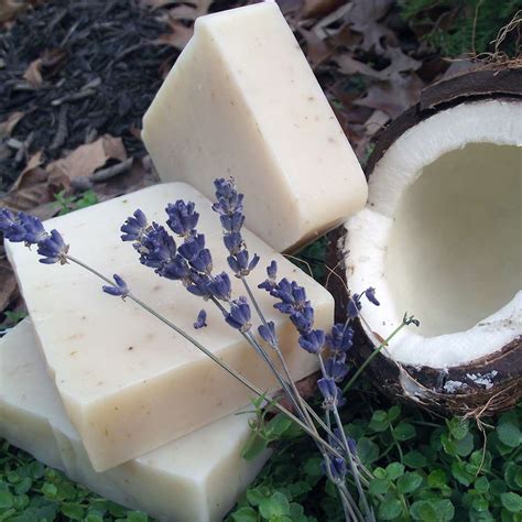 Take a wash on the wild side! Natural Soap: Coconut Shea Lavender | Chagrin Valley Soap