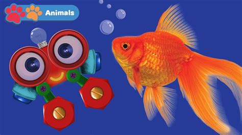 Learn Sea Animals For Kids With Robi Animals Names And Sounds Zoo