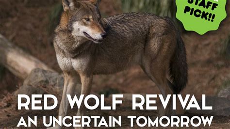 Red Wolf Revival An Uncertain Tomorrow By Nestbox Collective —kickstarter