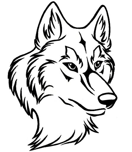 Download 785 cartoon wolves stock illustrations, vectors & clipart for free or amazingly low rates! line art wolf head - Google Search | Wolf drawing, Wolf drawing easy, Wolf head drawing