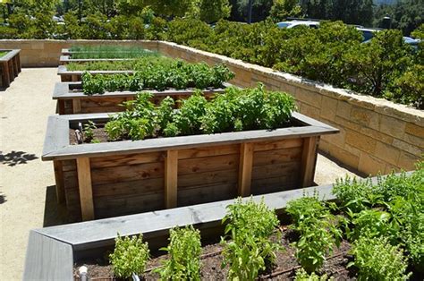 Restaurant Herb Garden In An Outside Dining Areavery Ni Flickr