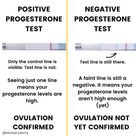 Positive And Negative Testing 63 Photo