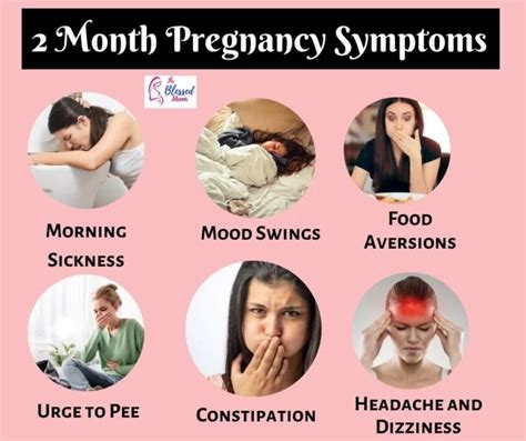 2 Months Of Pregnancy Symptoms Diet And Development Theblessedmom