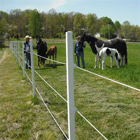 How To Build Electric Fence For Horses Equine On Your Farm