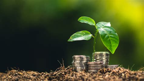 1 Warum Du Nachhaltig Investieren Solltest Future Values