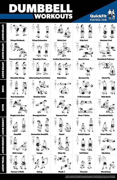Dumbbell Workout Exercise Poster Laminated Free Weight Body