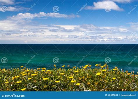 Tropical Flowers Overlooking The Ocean Stock Photo Image 40335831