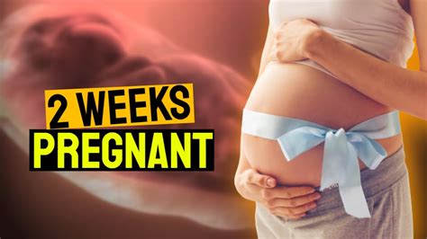 Discover The Fascinating Second Week Of Pregnancy Implantation And