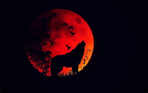 Download Wallpaper 2560x1600 Wolf Howl Silhouette Full Moon Fire