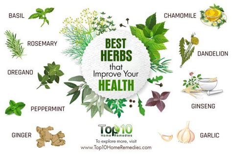 10 Best Herbs That Improve Your Health Top 10 Home Remedies