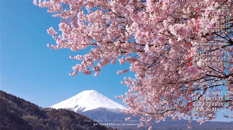 2018年1桜のある風景 3の自然カレンダー壁紙：桜のある風景 3｜無料ワイド高画質壁紙館