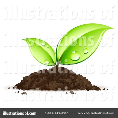 Seeding Clipart 20 Free Cliparts Download Images On Clipground 2024