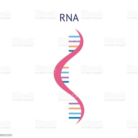 Ilustración de Estructura Científica Del Icono De Un Vector De Molécula