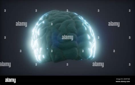 Loop Rotating Human Brain Animation Stock Photo Alamy