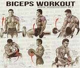 Workout Routine Back And Biceps Pictures